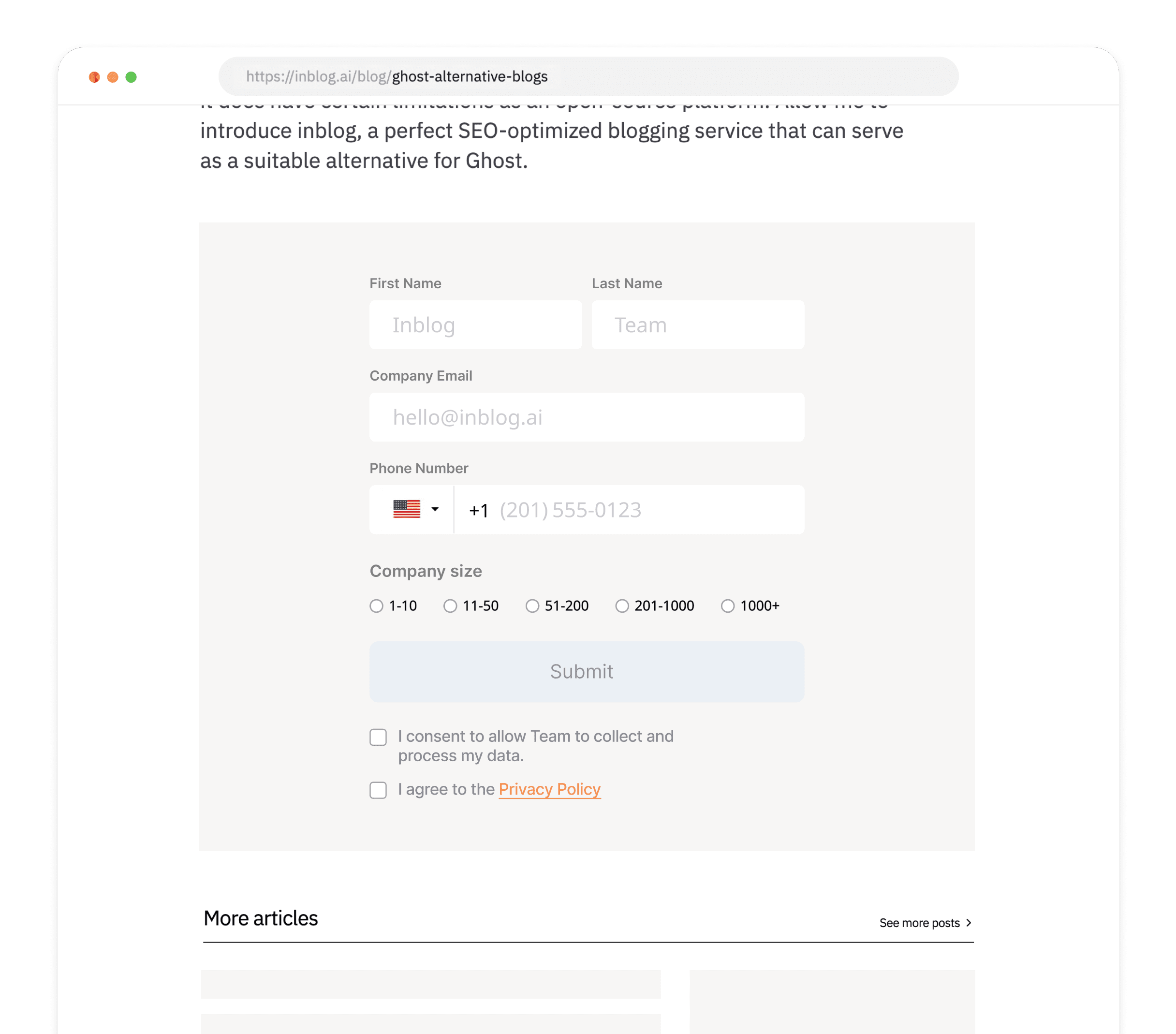 lead capture forms image