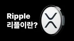 리플(Ripple, XRP)이란? 5분 개념 정리