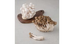 만가닥버섯 10월 판매순위 TOP5 | 장단점 & 제품비교 | 슈퍼푸드, 친환경, 만가닥, 혼합버섯, 흰색, 무농약, 국내산, 손질