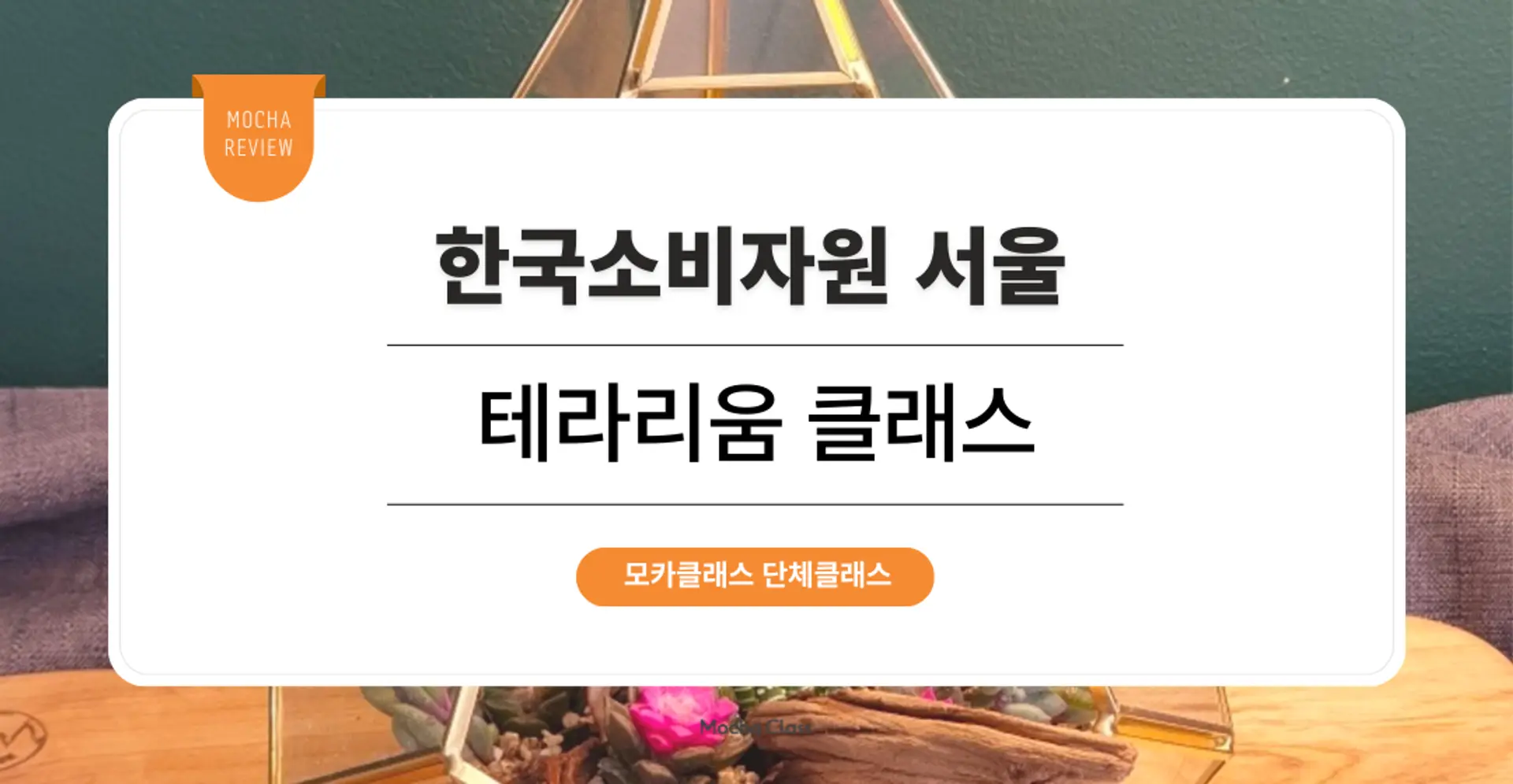 [팀빌딩프로그램] 한국소비자원 서울 : 테라리움 원예 원데이 클래스