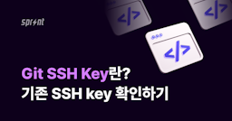 Git SSH Key란? 기존 SSH key 확인하기