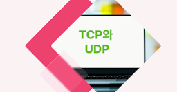 [개념 콕] TCP와 UDP