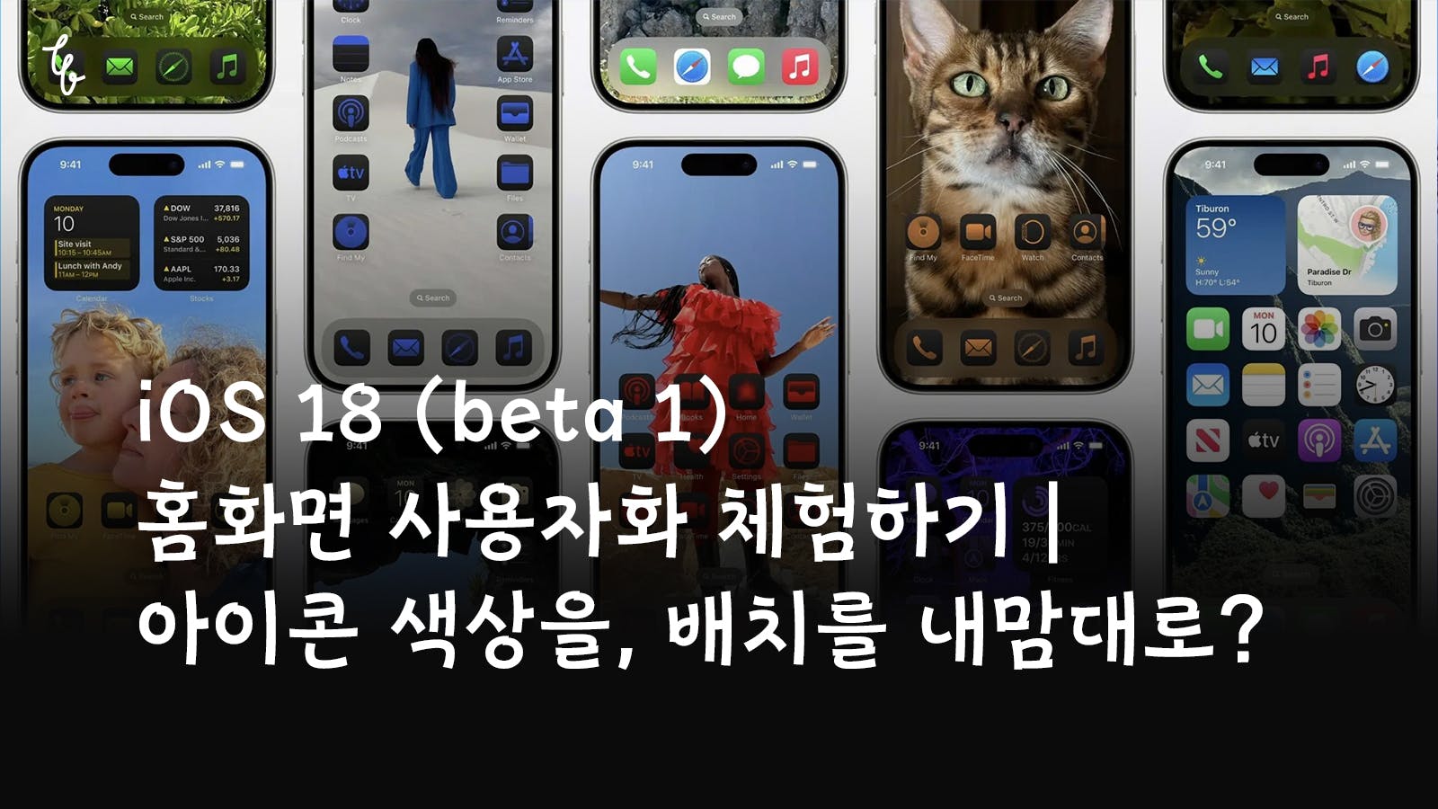 iOS 18 (beta 1) 홈화면 사용자화 체험하기