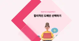 [챗GPT로 코딩 공부] 합리적인 도메인 선택하기 