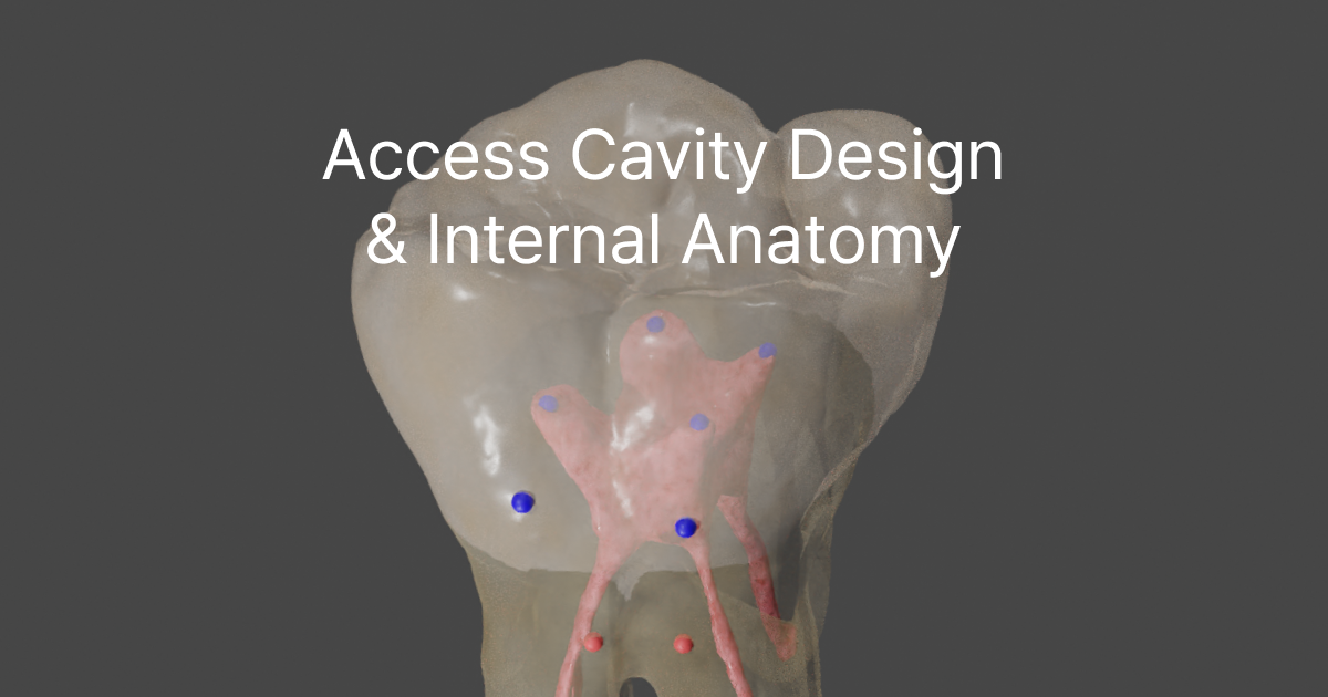 Access Cavity Design & Internal Anatomy