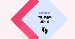 [초보자의 코딩 공부] TIL 꾸준히 쓰는 법