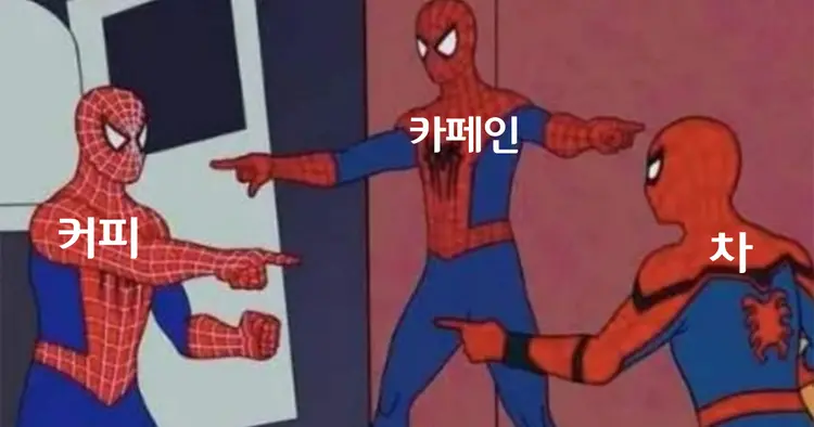 커피와 차 카페인 비교, 대결의 승자는?