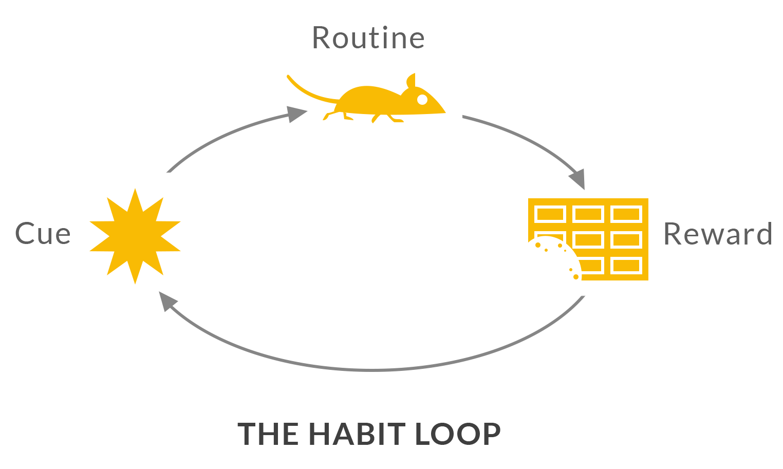 An infographic illustrating the habit loop (cue, routine, reward) to visually summarize the concept for readers.