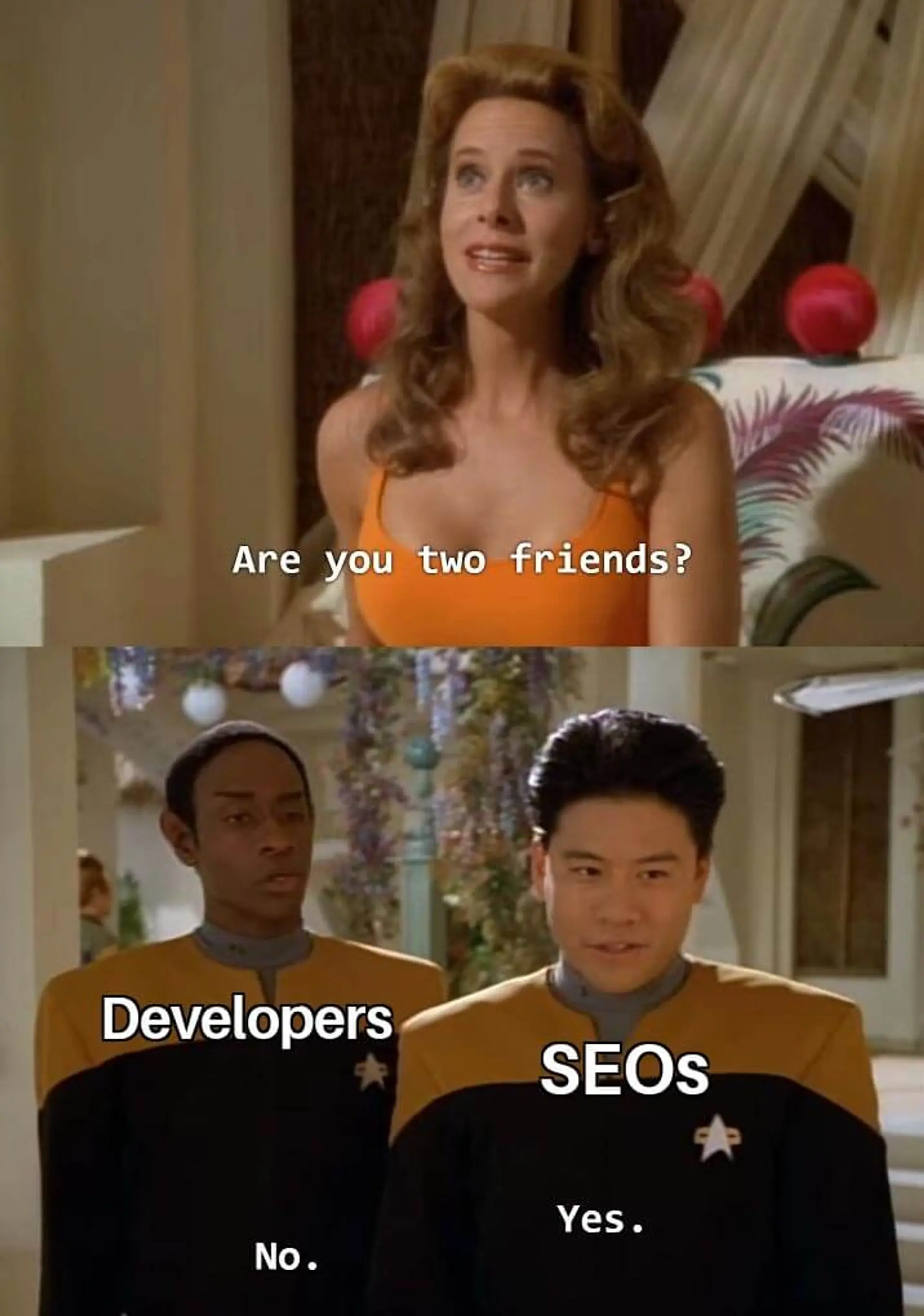 Developer and SEO guy are not friends