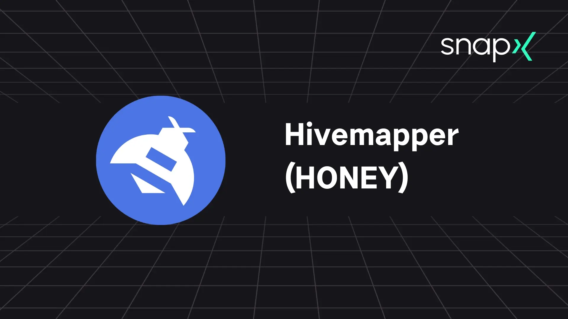 Top 10 DePIN Projects 2024 Hivemapper HONEY