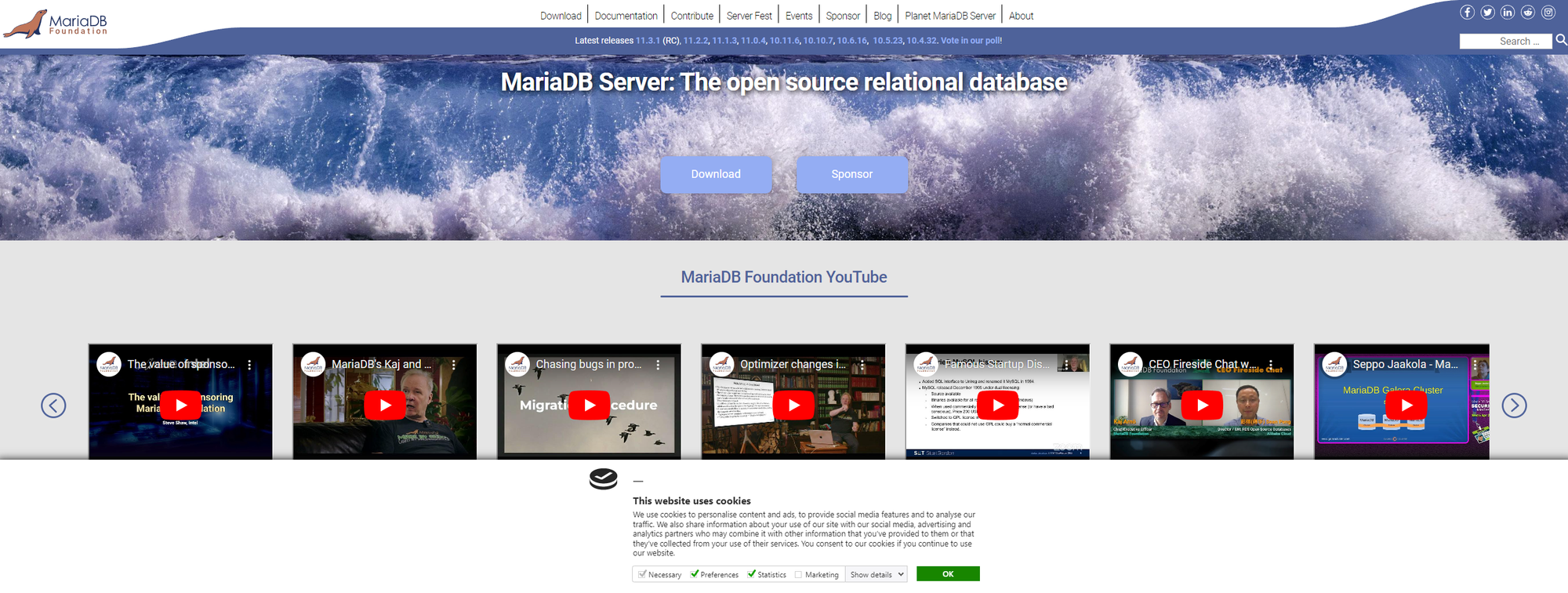 1 - 2. MariaDB Foundation - MariaDB.org 로 접속한 결과
