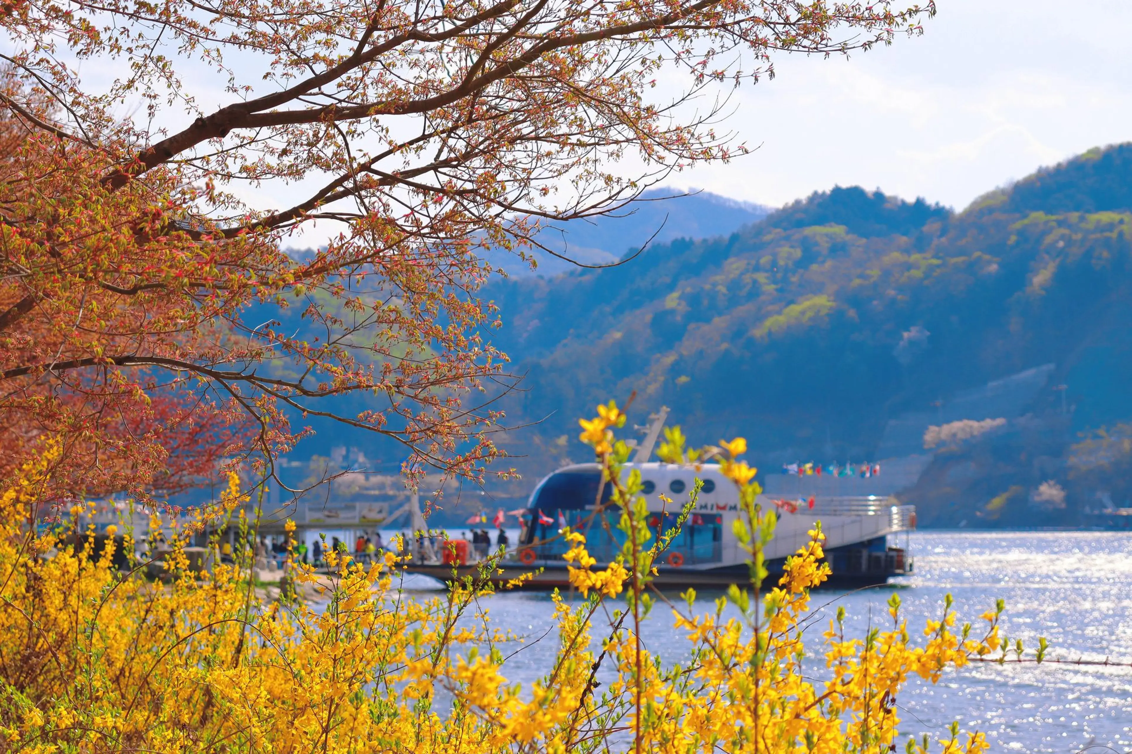 Nami island (남이섬)