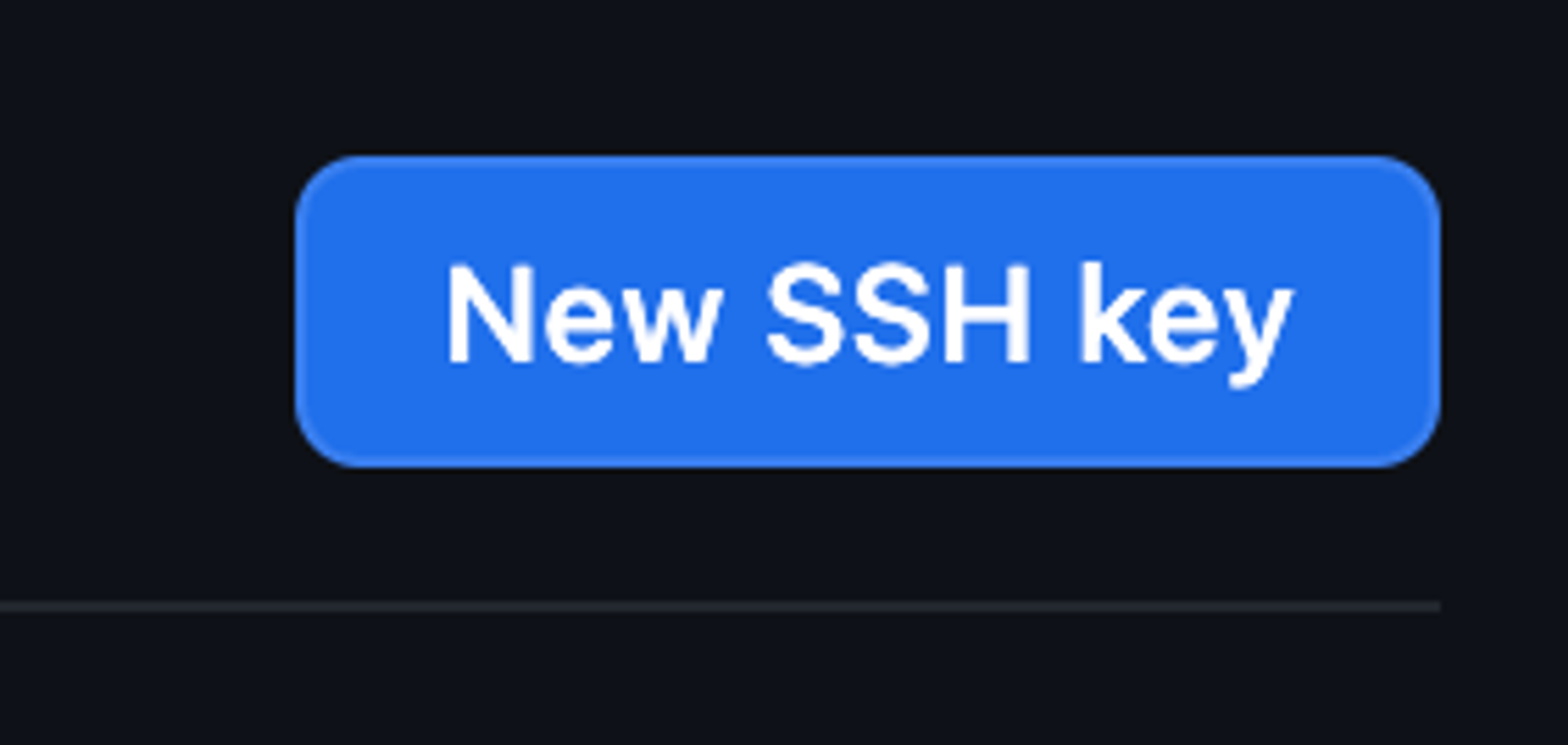 New SSH Key 버튼
