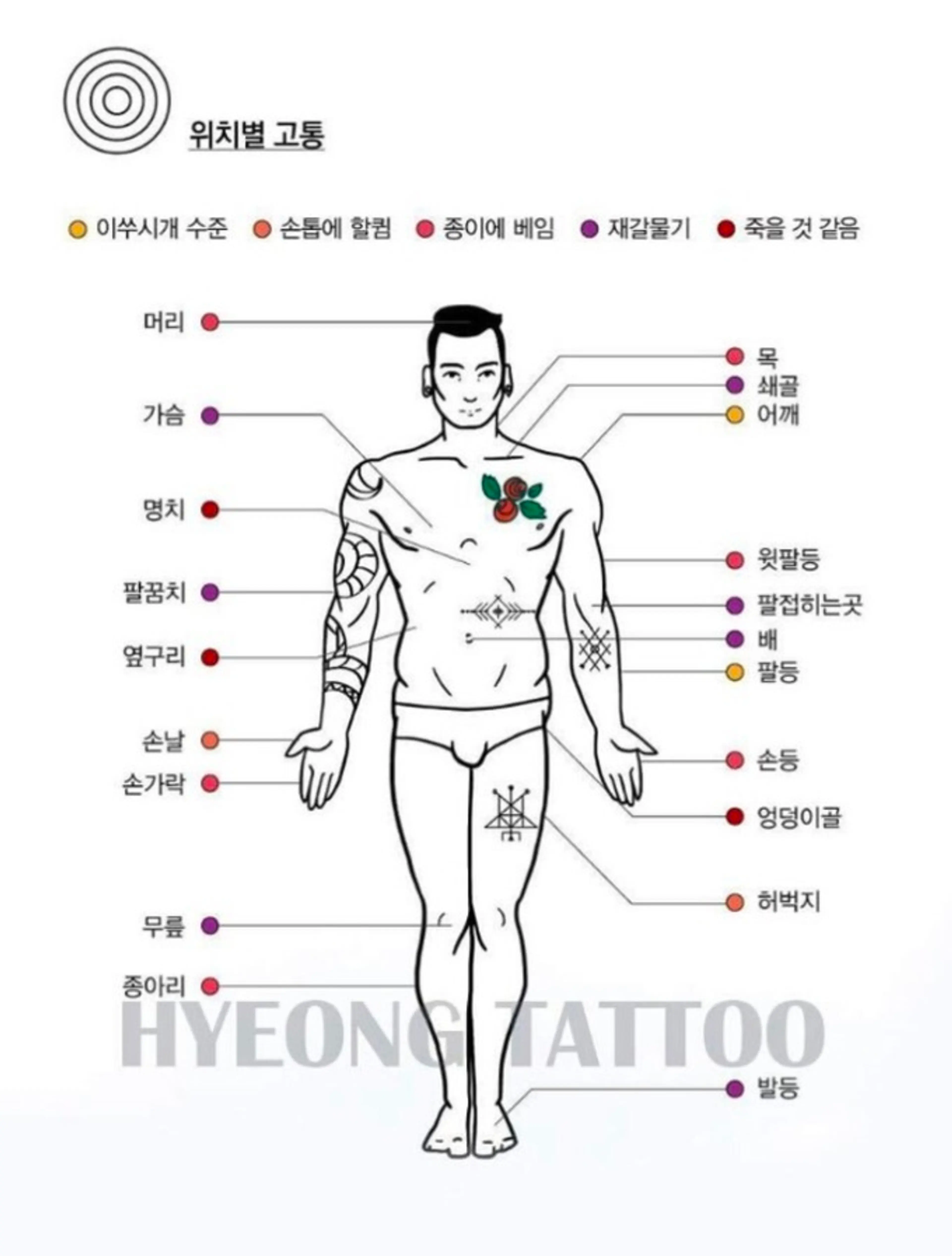 타투 시술시 부위별로 느끼는 통증의 강도 <사진=온라인커뮤니티>