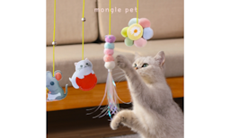 고양이장난감 고르는 법이 따로있다고?! 고양이장난감 구매팁과 제품별 가격비교, 장단점