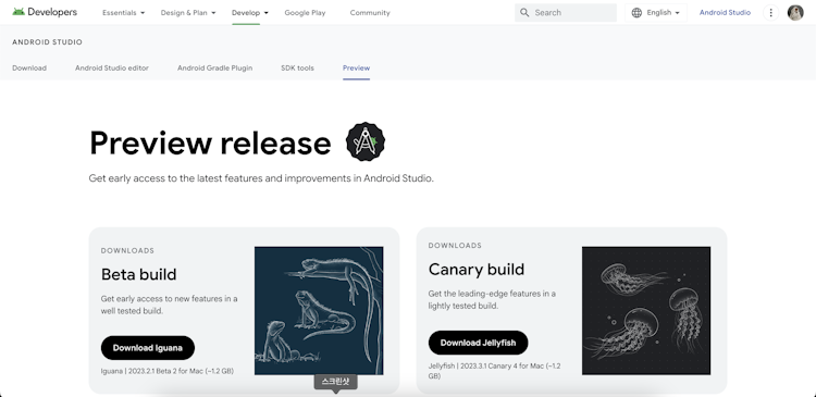 Android Studio Iguana 베타 설치 & Gemini API로 생성형 AI앱 빌드하기