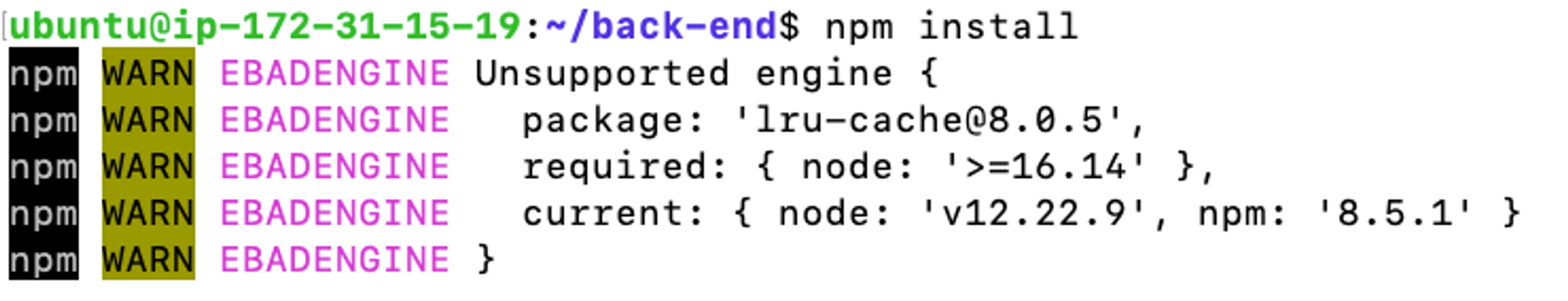 npm install이 실행된 모습