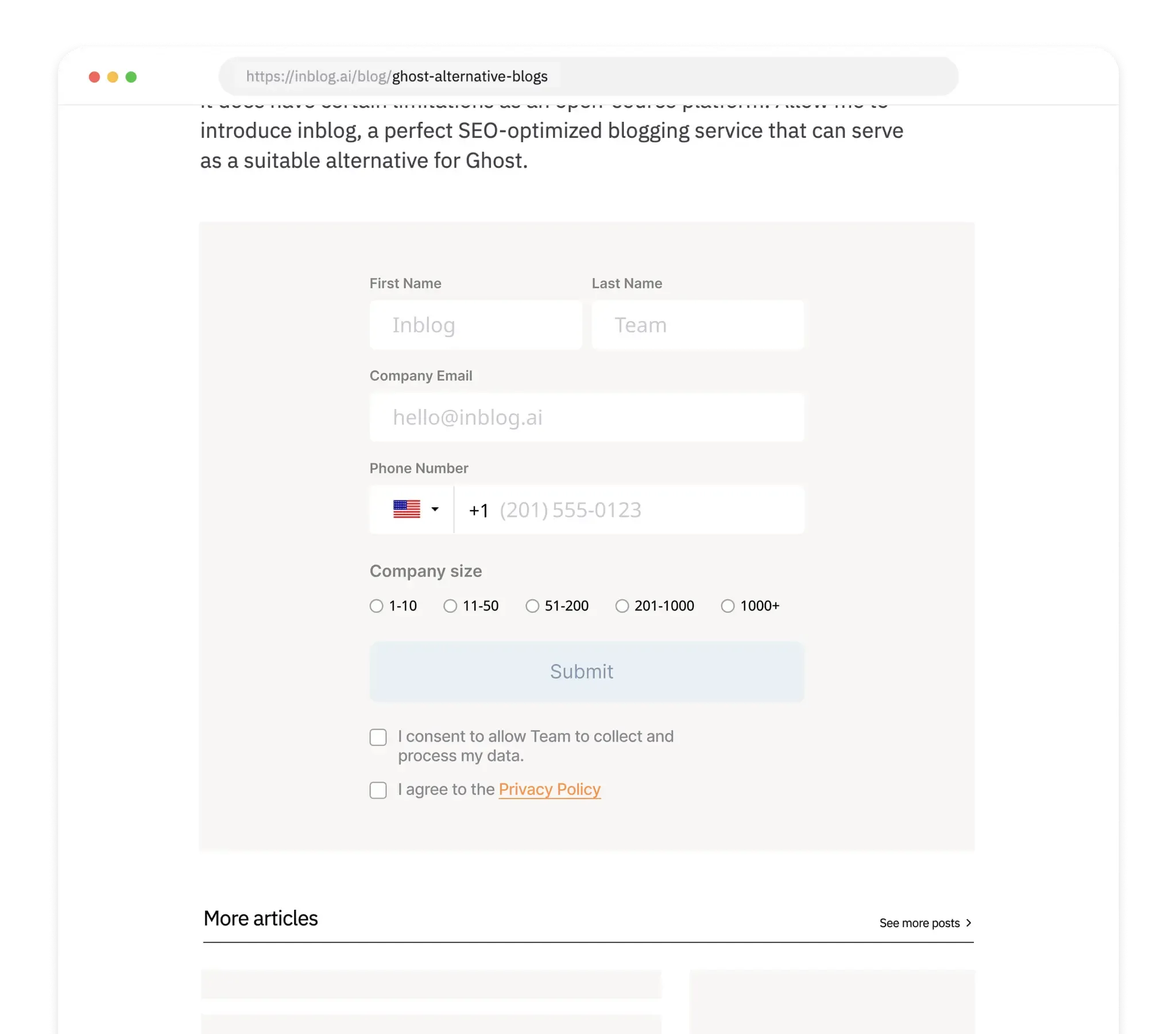 Lead generation form interface